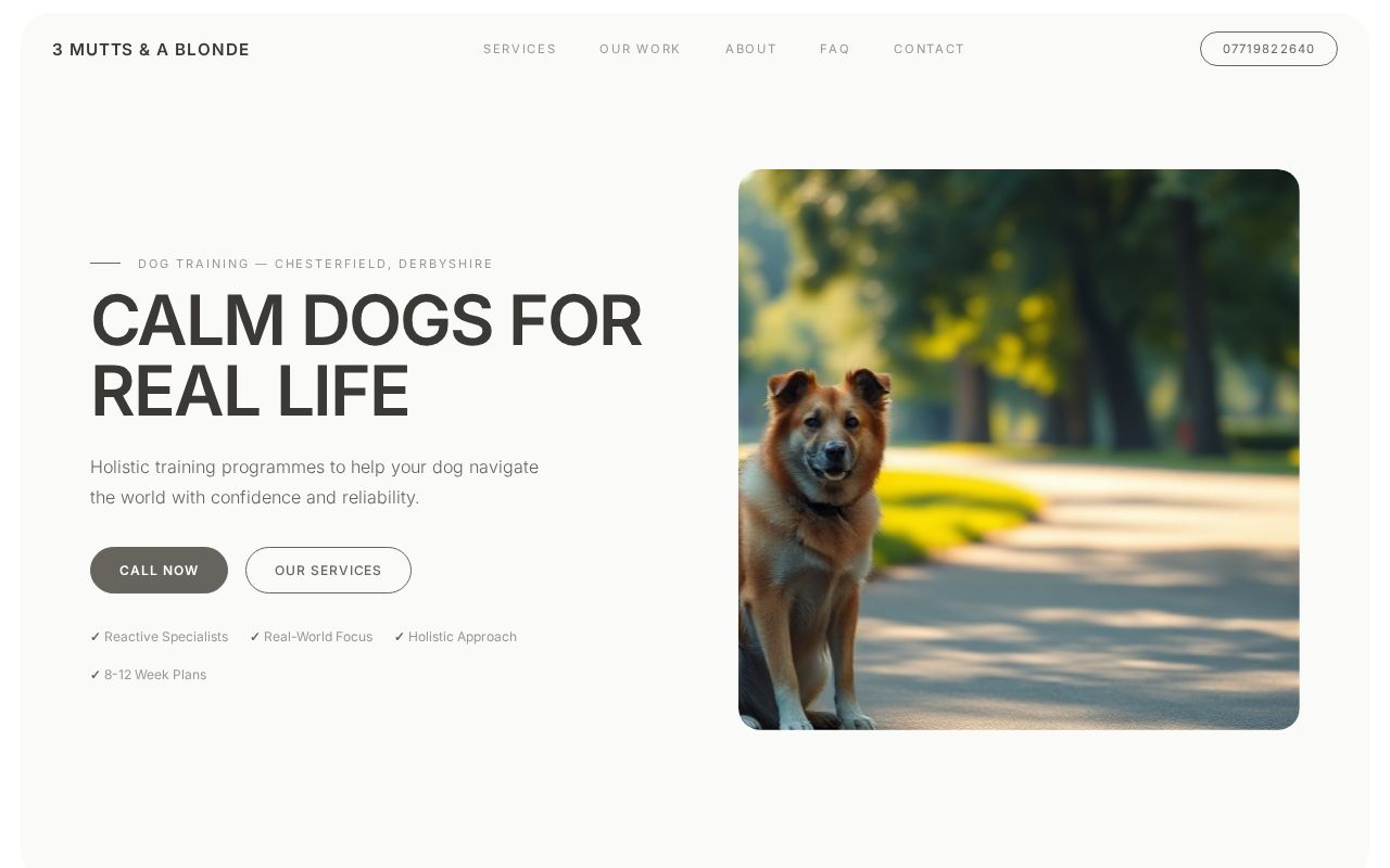 Your new website