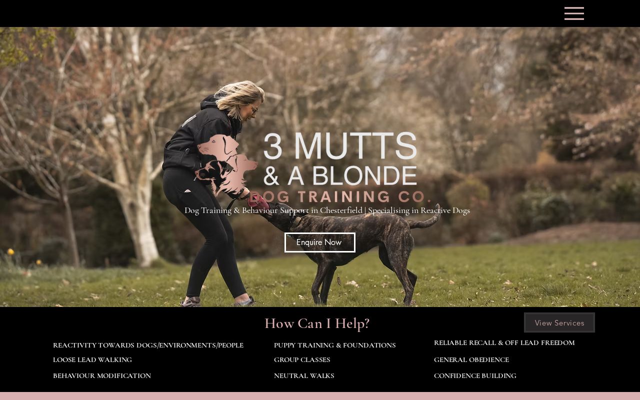 Your current website