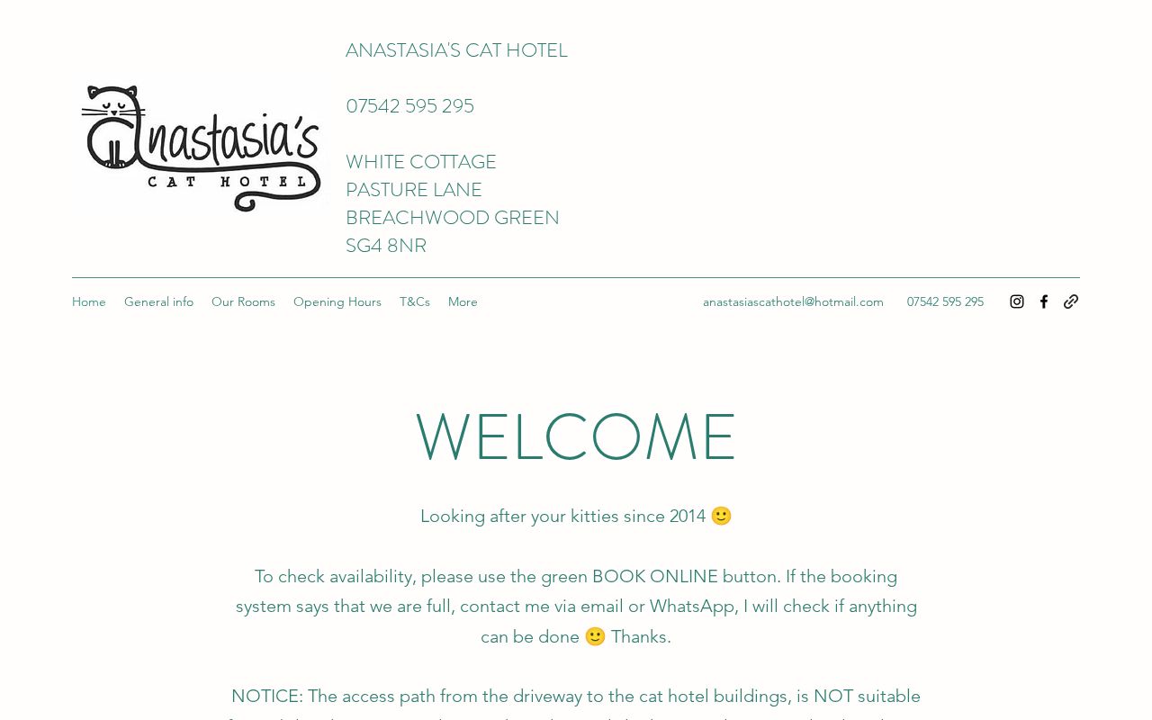 Your current website