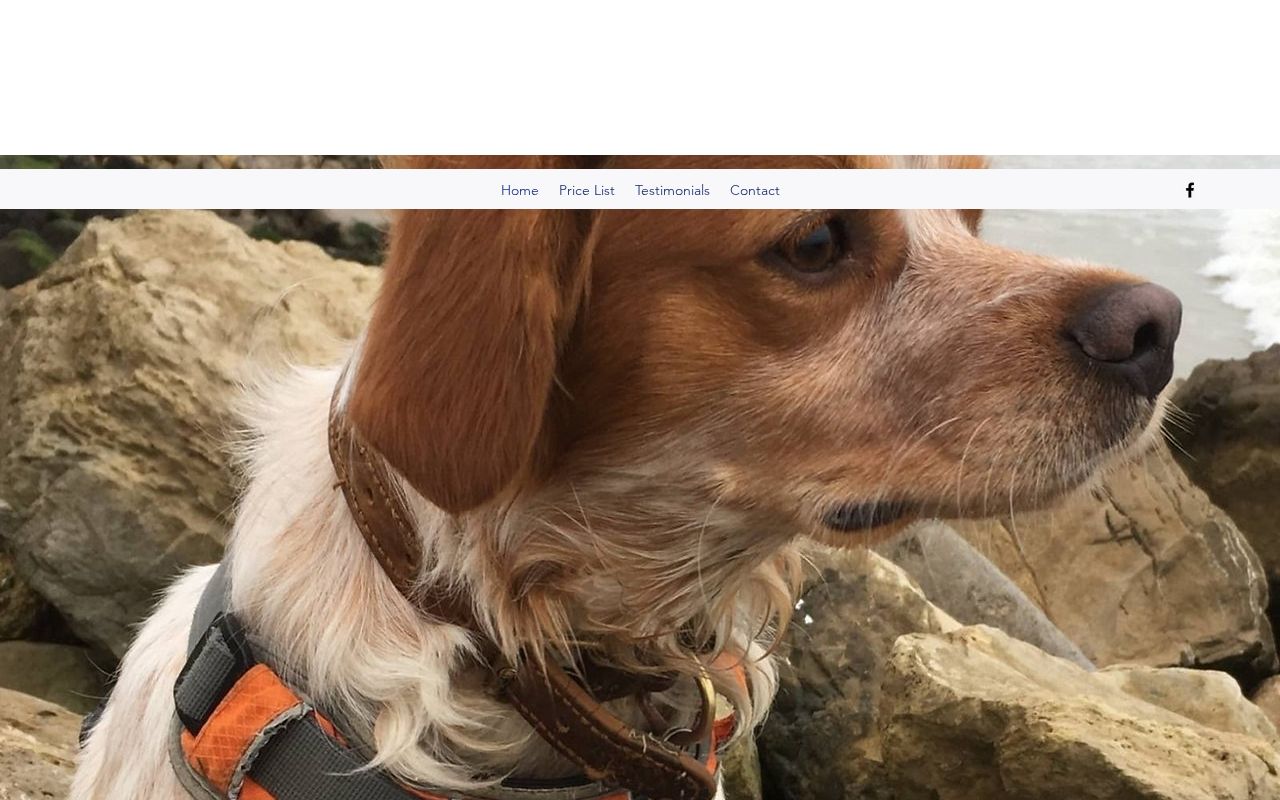 Your current website