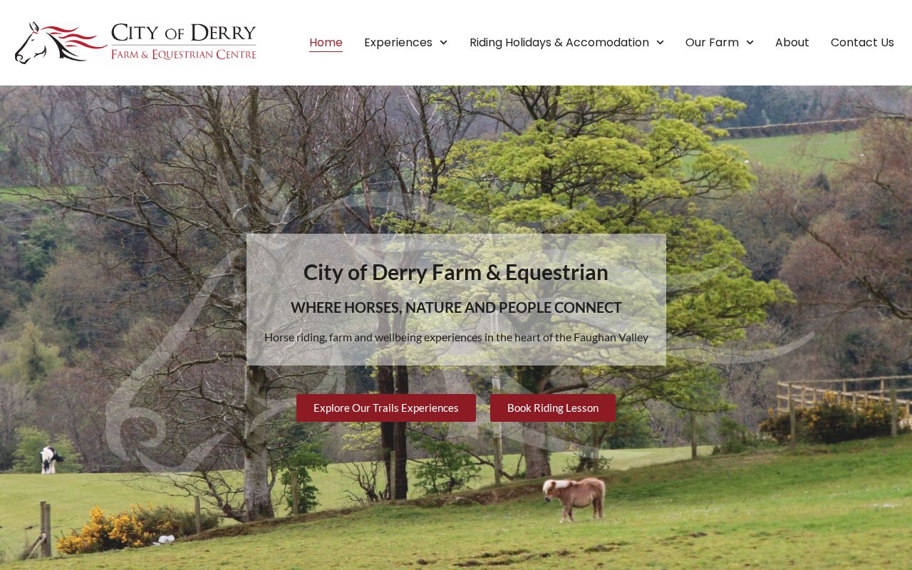 Your current website
