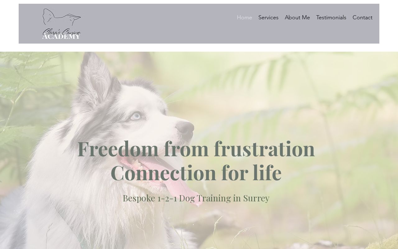 Your current website