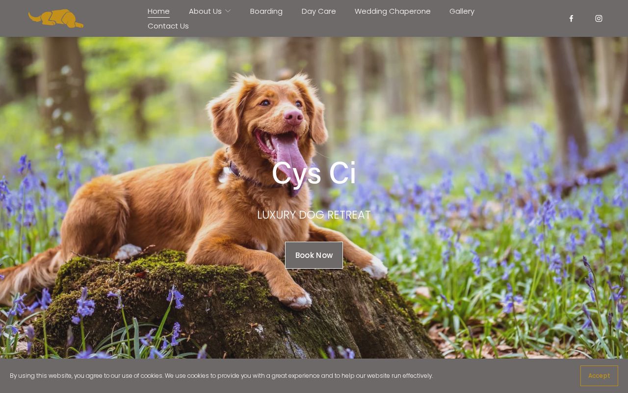 Your current website