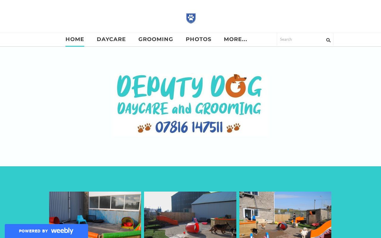 Your current website