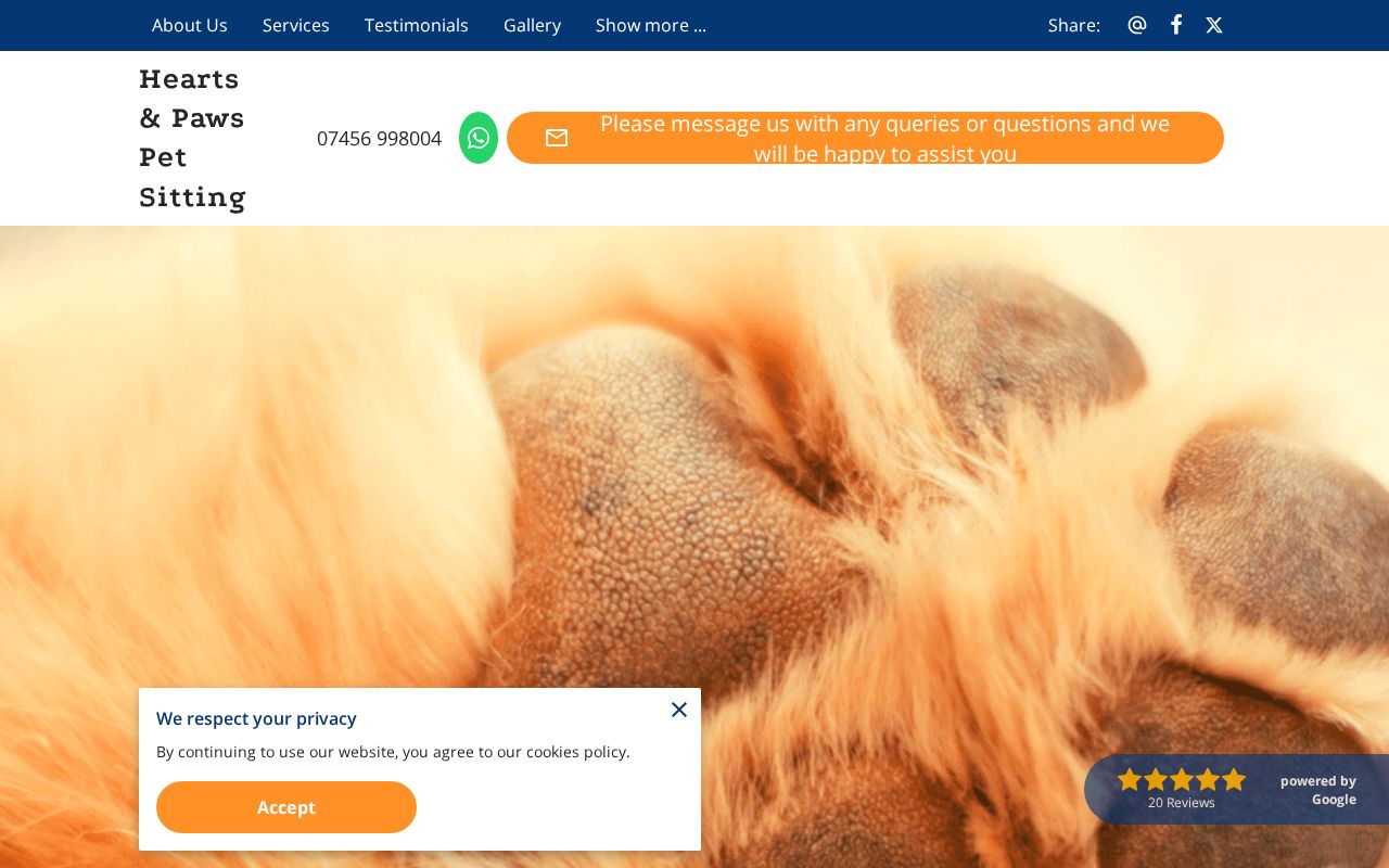 Your current website
