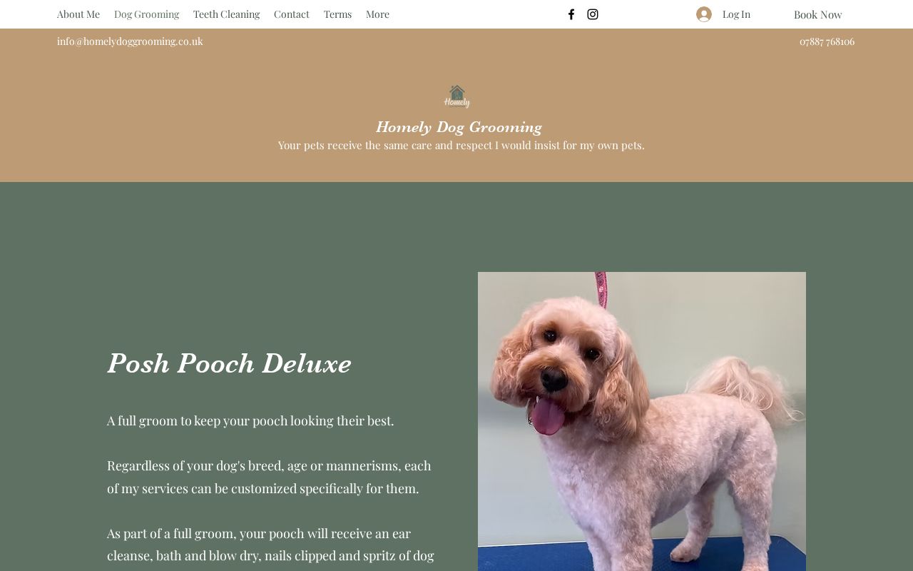 Your current website