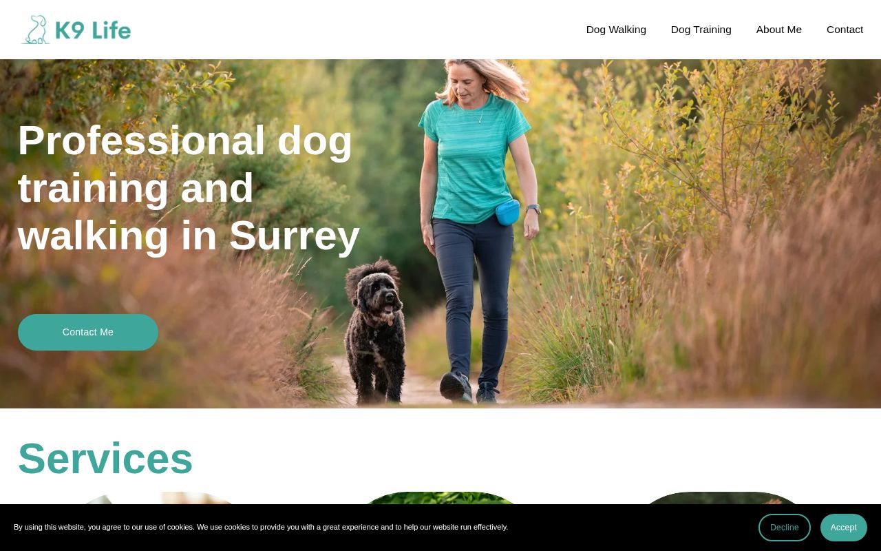 Your current website