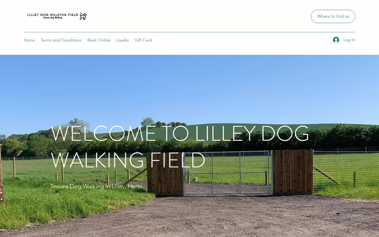 Your current website