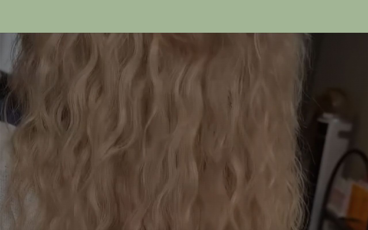 Your current website