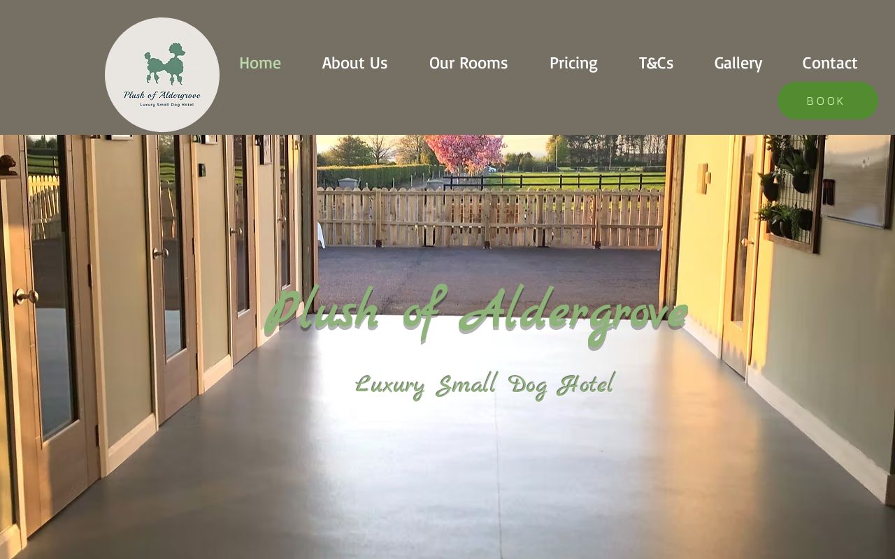 Your current website