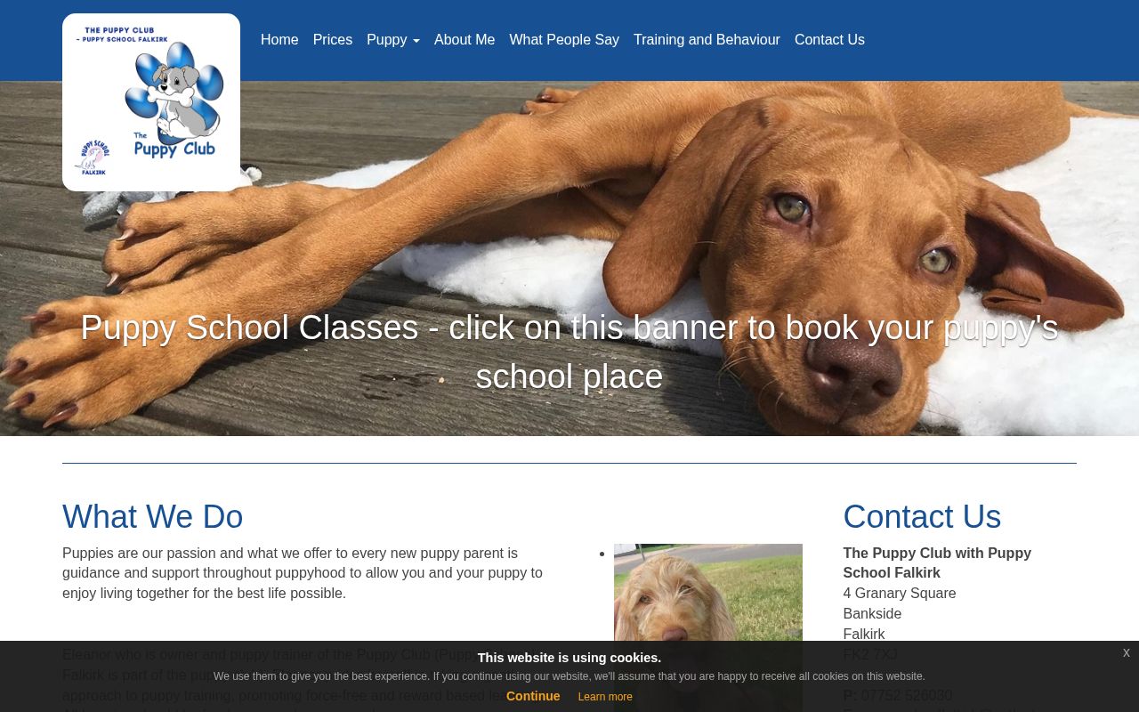 Your current website