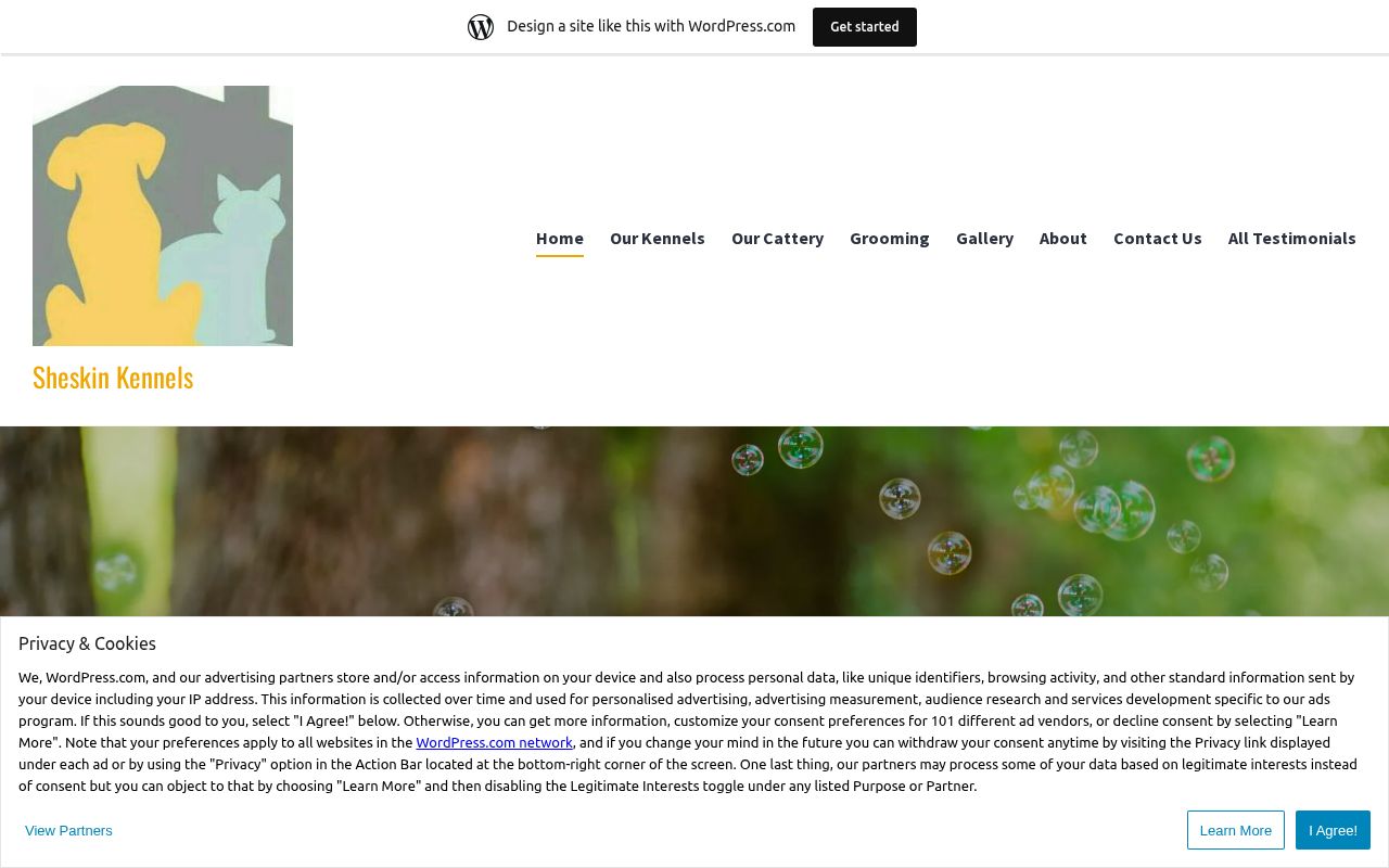 Your current website