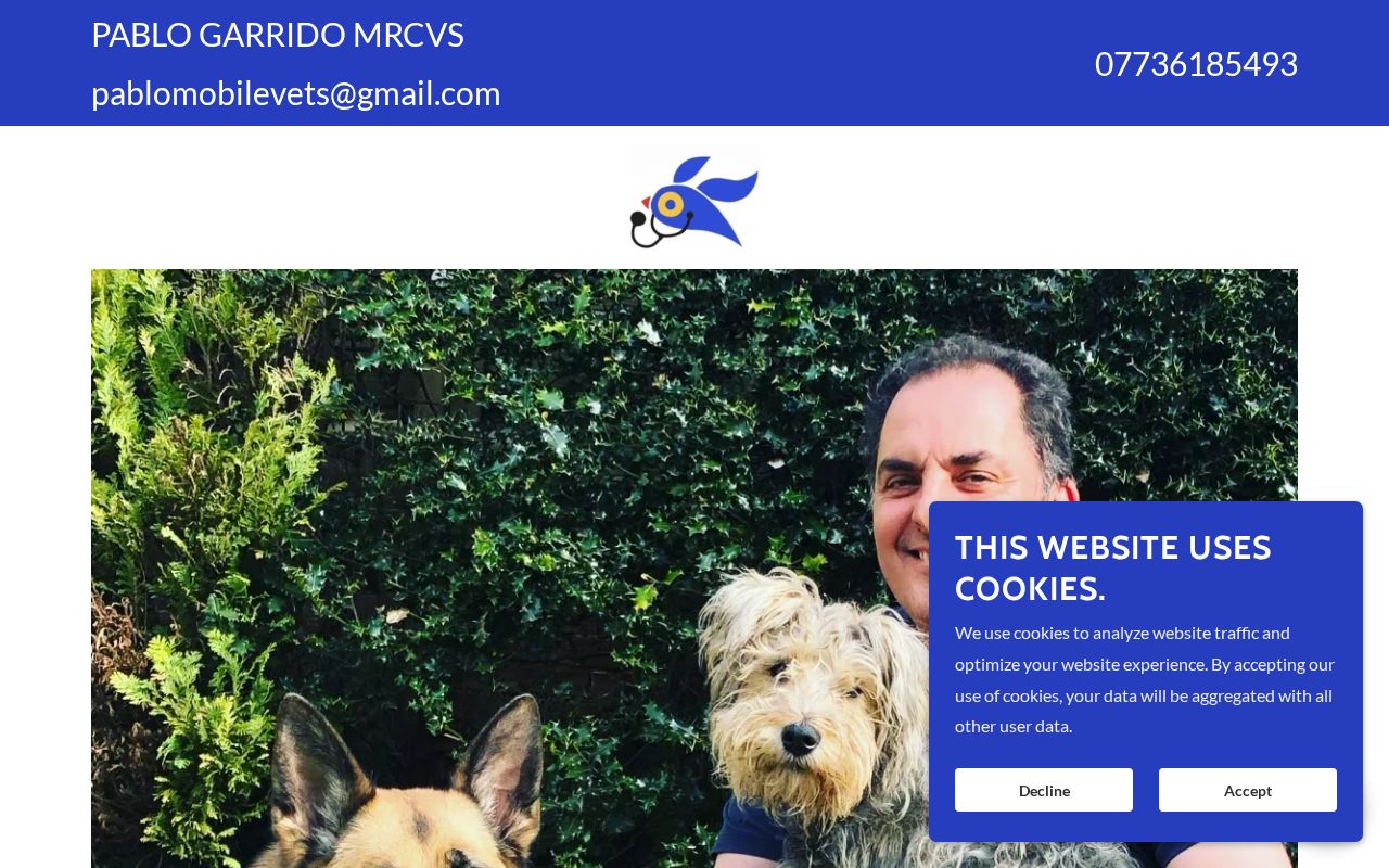 Your current website
