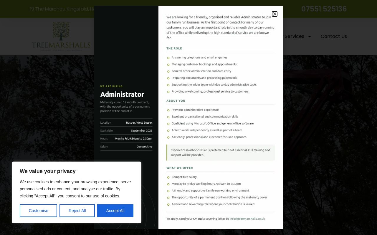 Your current website