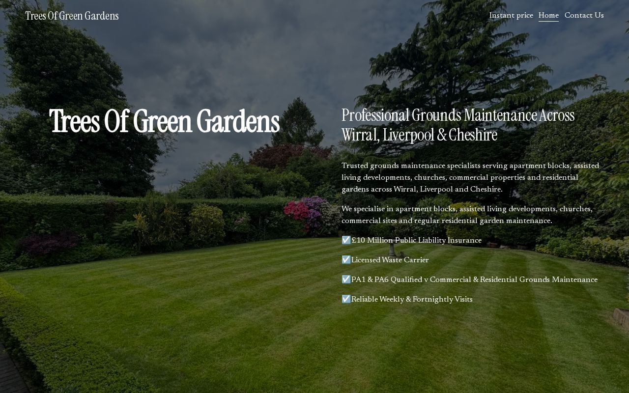 Your current website