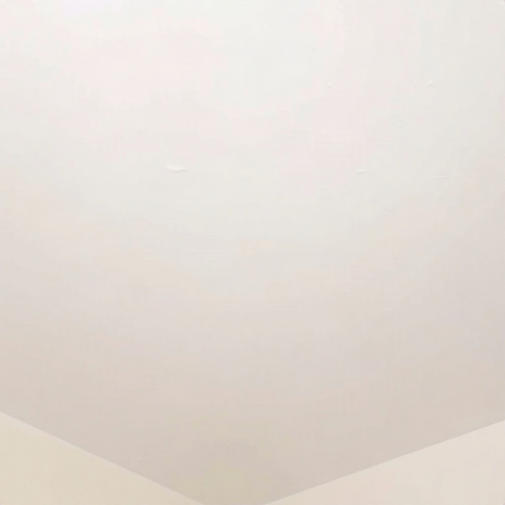 Paramount plastering wirral